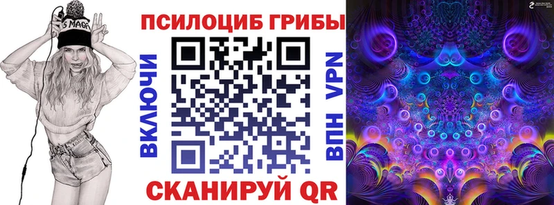 Псилоцибиновые грибы MAGIC MUSHROOMS  Купить где  Нестеровская 