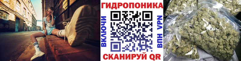 Купить закладки  Нестеровская  Бошки марихуана VHQ 